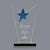 McKinley Star Award