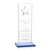 Dallas Star Award - Sky Blue/Silver
