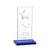Dallas Star Award - Blue/Silver