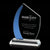 Hausner Award - Blue