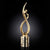 Continuum Award on Cylinder - Gold