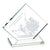Wellington Award - Clear
