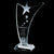 Atkinson Star Award