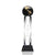 Ripley Globe Award - Black
