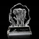 Ottavia Elephant Award