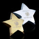 Hollister Standing Star Paperweight